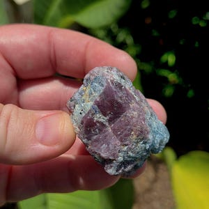 May include: A rough, uncut ruby gemstone with a deep red hue, accented by patches of blue and gray. The natural crystal formation is held in a hand, showcasing its raw, unpolished texture. The gemstone is a natural mineral specimen.
