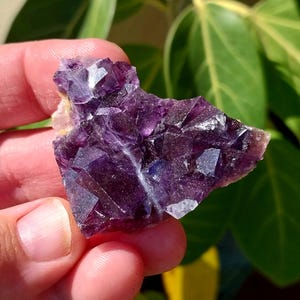 Beautiful Heart Shaped High Quality Purple and Blue Phantom Cubic Fluorite on UV Reactive Mica Matrix! Inner Mongolia, China, Yindu Mine.