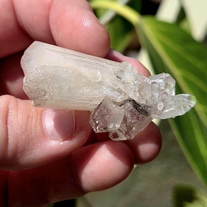 Special Chocolate and Clear Apophyllite on Heulandite Specimen. Heulandite Specimen. Crystal Specimen. Apophyllite Specimen.