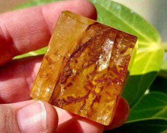 Glorious Quality Golden Healer Freeform!! Golden Healer. Golden Healer Crystal. Crystal Freeform. Yellow Crystal Freeform. Healer Freeform.