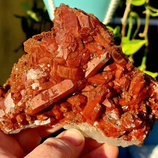 Breathtaking 2 Sided Druzy Red Quartz! Red Hematoid Quartz. Druzy Red Quartz. Red Hematite Quartz. Red Quartz. High Quality Quartz Specimen.