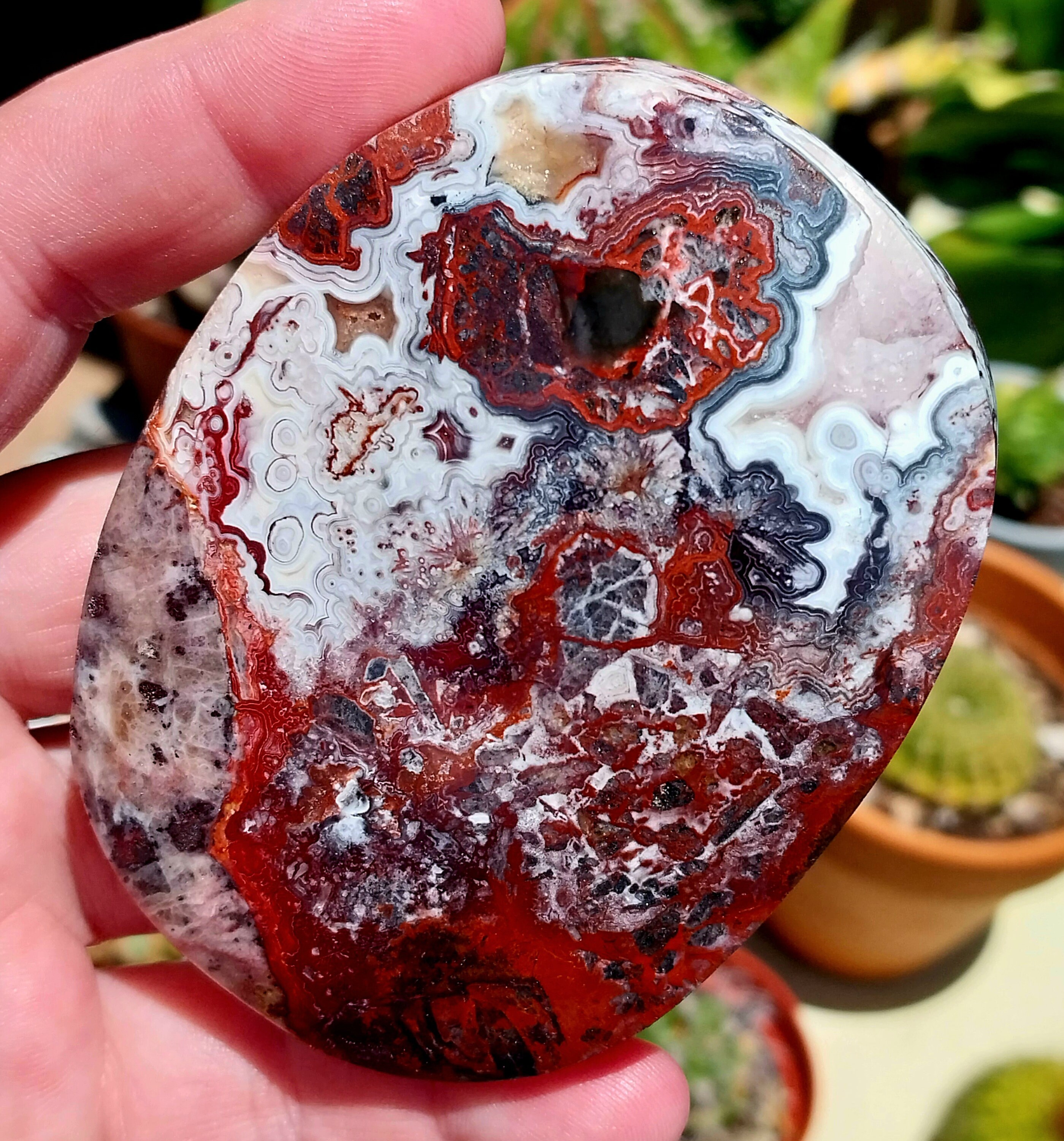 Druzy Agate 　原石　赤箱付き　最終値下げ Large Top Quality Druzy Mexican Crazy Lace Agate Palmstone. Lace