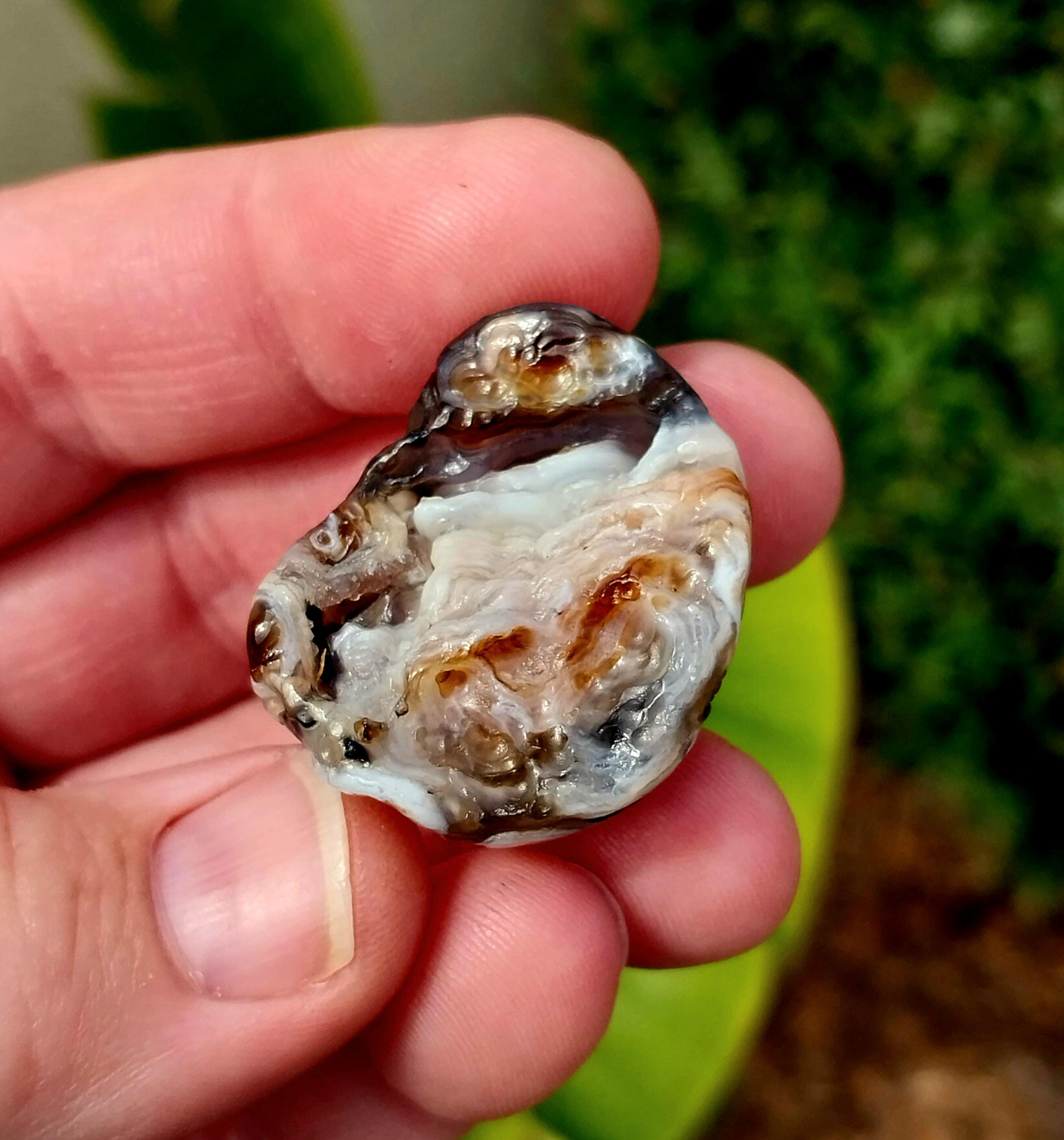 Glorieux nodule d'agate oeil de gobi noir ! Agate oeil de gobi. Agate de Gobi colorée. Agate noire oeil de gobi. Agate du désert de Gobi. Nodule d'agate. Agate d'Oco.