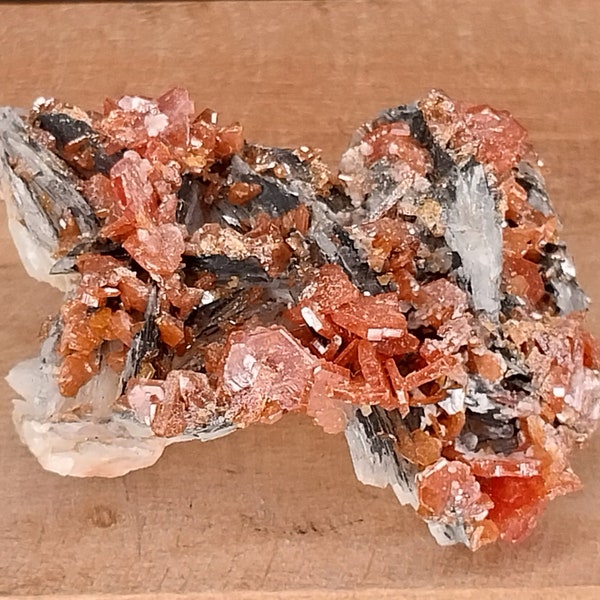 Amazing Vanadinite Specimen! Red Vanadinite! Druzy Vanadinite! Red Vanadinite Specimen. Red Crystal Specimen. Red Vanadinite Crystal.