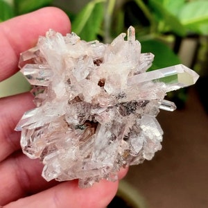 Glorious Brazilian Pink Lithium Quartz! Lithium Quartz. Quartz Cluster. Pink Quartz. Quartz Specimen. Lithium Quartz Specimen. Pink Lithium.