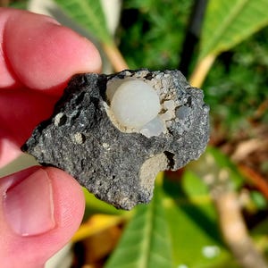 May include: A close-up of a small, dark gray rock with a white, round, opaque gemstone embedded in it. The gemstone is surrounded by smaller, white, opaque crystals.