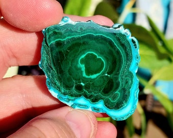 High Quality Chrysocolla and Malachite Polished Slab Specimen. Malachite Chrysocolla Specimen. Chrysocolla Slice. Malachite Slice.