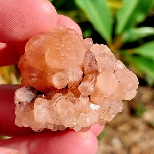 Special Form UV Reactive Pink Rose Skeletal Calcite Flower from Madagascar! Pink Calcite. Pink Calcite Specimen. UV Reactive Pink Calcite.