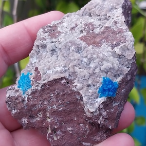 Very Rare Cavansite On Chalcedony Specimen. Cavansite Specimen. Blue Cavansite. Rare Cavansite Mineral. Druzy Chalcedony. Cavansite Specimen