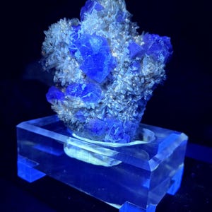 Blue and Purple Octahedral Fluorite on Chrysanthemum Quartz