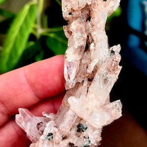 Top Quality Pink Lithium Quartz! Lithium Quartz. Quartz Cluster. Pink Quartz. Quartz Specimen. Lithium Quartz Specimen. Pink Lithium.