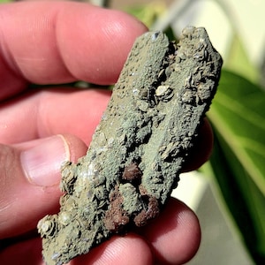 Inner Monglian Green Chlorite Quartz with Special Red Calcite. Hedenbergite Quartz. Green Skin Quartz. Chlorite Quartz. Crystal Specimen.