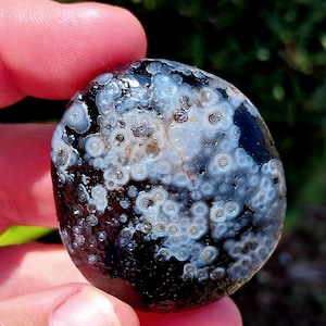 Beautiful Black Gobi Eye Agate Palmstone! Gobi Eye Agate Stone. Colorful Gobi Eye Agate. Black Gobi Eye Agate. Agate Palmstone. Palmstone.