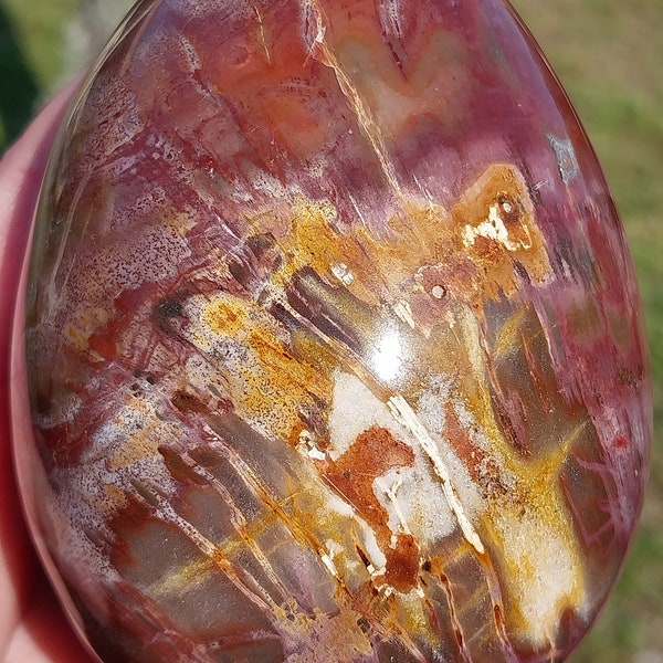 100 mm GIANT Incredible Petrified Wood Egg. Petrified Wood Egg. Petrified Wood. Red Petrified Wood. Opalized Wood. Fossil Wood. Crystal Egg