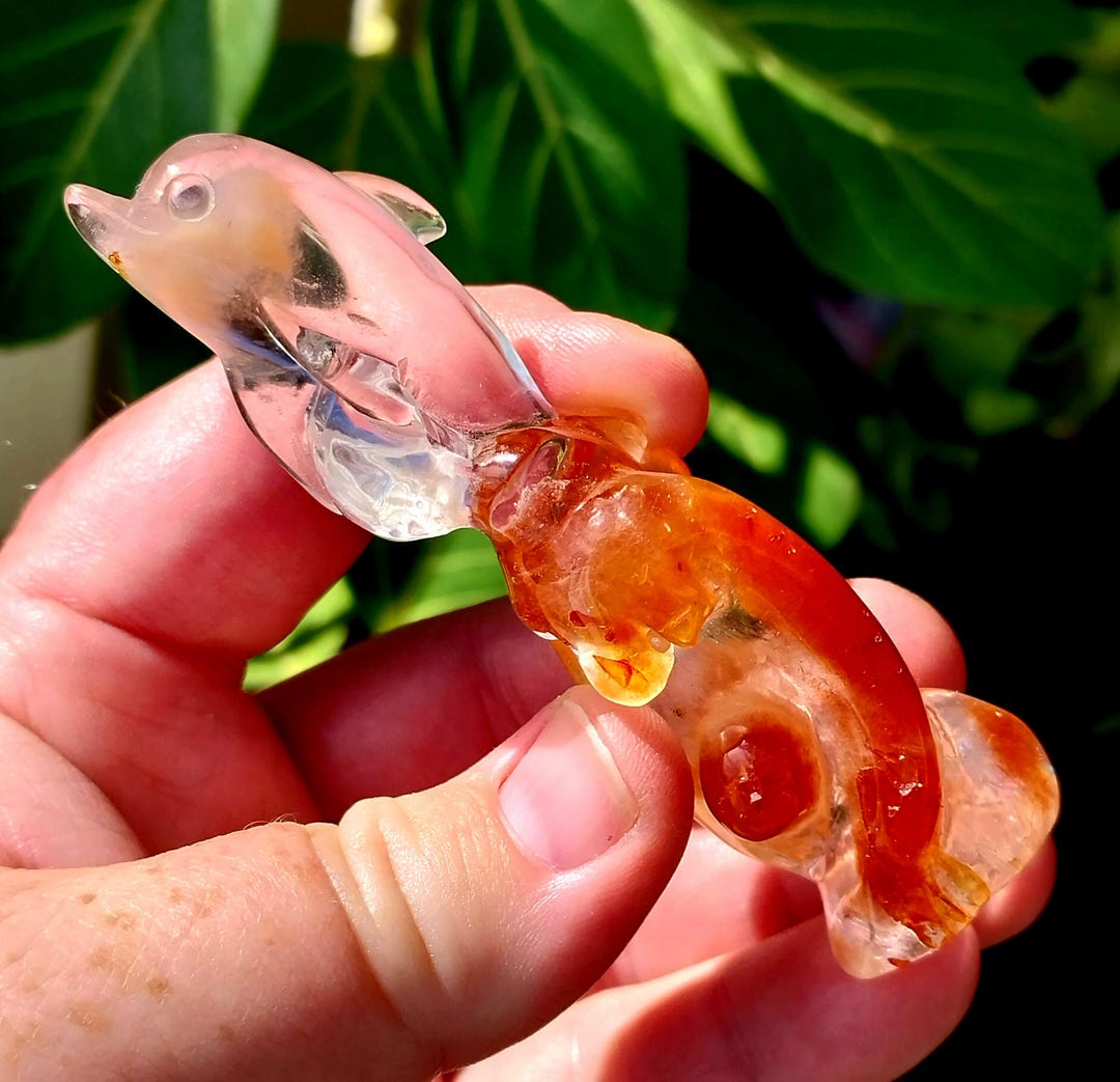 Incredible Gem Grade Red Rabbit Hair Quartz Dolphin Carving. Rabbit ...