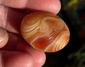 Bright Orange Gobi Eye Agate Tumble! Gobi Eye Agate Stone. Gobi Eye Agate. Orange Gobi Eye Agate. Gobi Desert Agate.