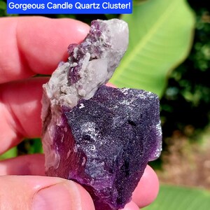 May include: A purple fluorite cluster with a clear quartz crystal on top. The fluorite is a deep purple color and has a rough, natural texture. The quartz crystal is clear and has a smooth, polished surface. The cluster is about 2 inches tall and 1 inch wide.