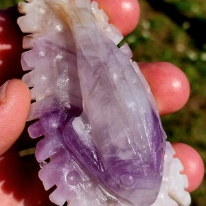 Amazing and Unique Purple Amythest Fish on Coral! Purple Amethyst Fish ...