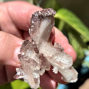 Incredibly Special Chocolate and Clear Apophyllite on Heulandite Specimen. Heulandite Specimen. Crystal Specimen. Apophyllite Specimen.