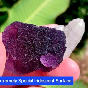 May include: A purple fluorite crystal with a clear quartz crystal attached. The fluorite has a highly iridescent surface.