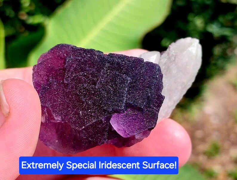 May include: A purple fluorite crystal with a clear quartz crystal attached. The fluorite has a highly iridescent surface.