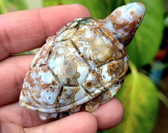Rare Pink Orbicular 8th Vein Ocean Jasper Sea Turtle. 8th Vein Ocean Jasper. Rare Jasper. Druzy Crystal Turtle. Pink Ocean Jasper Carving.