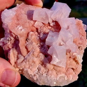 May include: A cluster of pink and white crystals. The pink crystals are smaller and more rounded, while the white crystals are larger and more angular. The crystals are arranged in a random pattern, creating a visually appealing display.