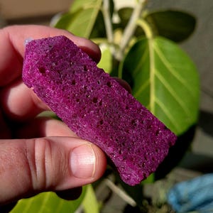May include: A vibrant magenta-colored crystal with a porous texture is held in a hand. The crystal's surface is uneven, with numerous small holes. The background features green leaves, suggesting a natural setting.