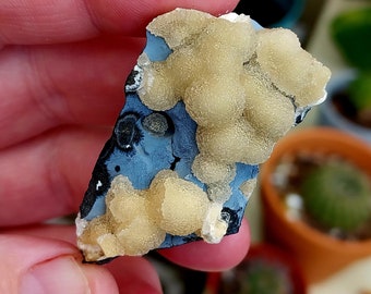 Extremely Rare UV Reactive Botroiydal Globular Calcite on Basalt Matrix! Rare Minerals. Rare Calcite. Calcite Balls. Calcite on Basalt.