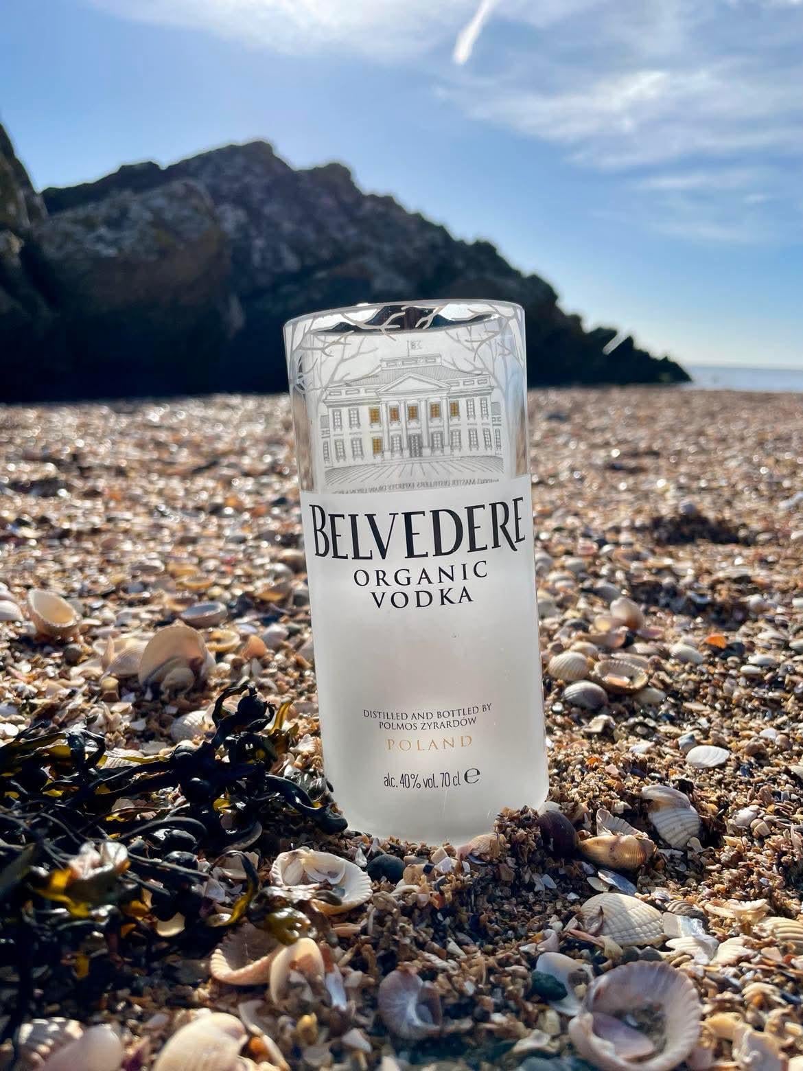 Buy Upcycled Belvedere Vodka Glass|gifts for Him| Gift for