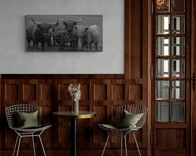 „Diamantglasbild Schottische Hochlandrinder Familie–Premium Fotografie, Tierportrait, Natur,Wandkunst, Tierfotografie, Wanddeko,Geschenkidee