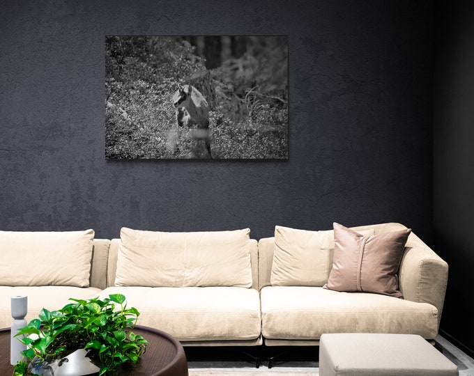 Diamantglasbild Premium – Gämse im Gebüsch auf Lichtung, Naturfotografie, Wandkunst, Glasbild, Wildtiere, Tiermotiv, Geschenkidee