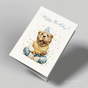 Dulce tarjeta de cumpleaños (tarjeta plegable) | Oso de fiesta y confeti | Cartón premium de alta calidad | Con sobre | Tacto agradable (170 mm x 115 mm)