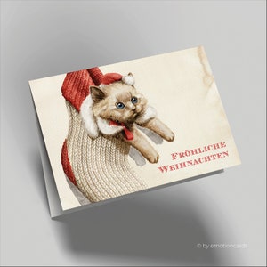 Grazioso biglietto di Natale (biglietto pieghevole) | Piccolo gatto | Cartone premium di alta qualità | Incl. copertura | Piacevole al tatto (115 mm x 170 mm)