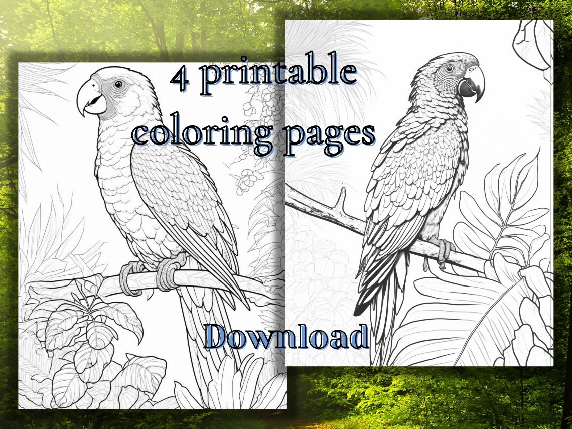 Scarlet Macaw Coloring Page with Fun Fact {FREE Printable Download!} – The  Art Kit