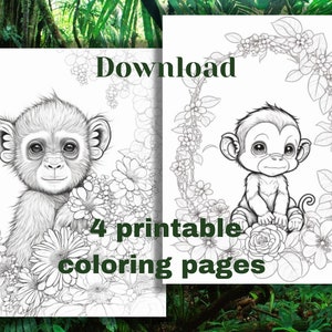 Monkey Coloring Book For Kids Ages 4-8: Fun & Easy Animal Coloring Pages  For Preschoolers And Kindergarten Kids (Paperback)