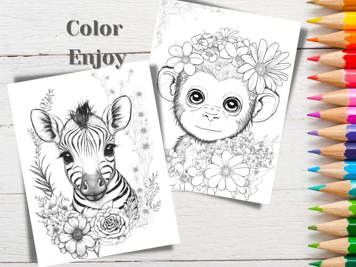 Coloring Book / By Niko Fun Designs vol 3. / for Kids Ages 7 - 12 : Over 40  easy and fun pages to coloring in a world of cute animals and