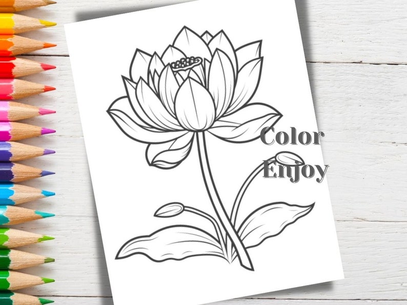 8 Lotus Flower Printable Coloring Pages, Stress Relief for Adults and ...