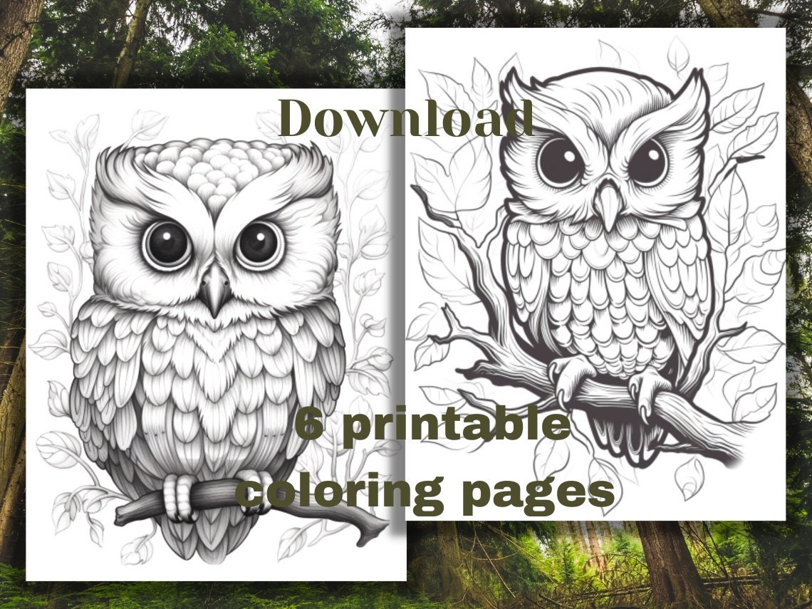 Adorable Owl 6 Printable Coloring pages for Kids and Adults , Instant digital Downloads JPG and PDF 