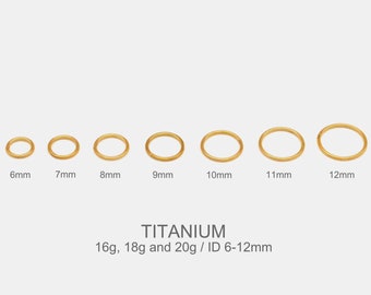 20G/18G/16G Gold Titanium Hinged Segment Nose Ring - Nose Hoop - Seamless Hinged Clicker Hoop - Septum Ring - Hoop Earring