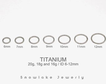 20G/18G/16G Titanium Silver Hinged Segment Nose Ring - Nose Hoop - Seamless Hinged Clicker Hoop - Septum Ring - Hoop Earring