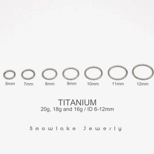 20G/18G/16G Titanium Silver Hinged Segment Nose Ring - Nose Hoop - Seamless Hinged Clicker Hoop - Septum Ring - Hoop Earring