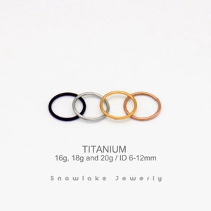 20G/18G/16G Titan Silber Hinged Segment Nasenring Nasenreifen Nahtloser Hinged Clicker Hoop Septum Ring Hoop Ohrring Bild 2