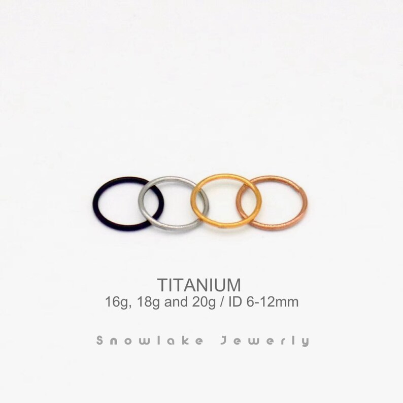 20G/18G/16G Titan Silber Hinged Segment Nasenring Nasenreifen Nahtloser Hinged Clicker Hoop Septum Ring Hoop Ohrring Bild 2