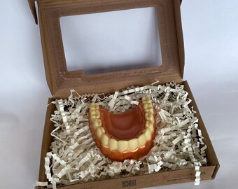 Chocolate para dientes y dentistas, chocolate realista hecho a mano único, chocolate artesanal