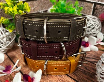CIVINILE チビナイル クロコダイル首輪 愛犬用お洒落な 2個セット
