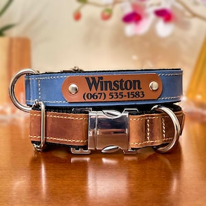 Może przedstawiać: Niebiesko-brązowy obroża dla psa ze srebrną klamrą i brązową skórzaną etykietą z napisem "Winston (067) 535-1583".