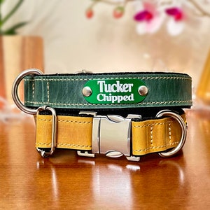 Leather dog collar personalized, Thin leather dog collar, Custom dog collar, Engraved dog collar, Cute dog collar with nameplate