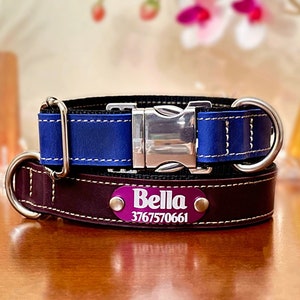Dog collar boy, Dog collar girl, Custom dog collar, Small dog collar, Leather collar, Dog collar leather, Personalized leather dog collar