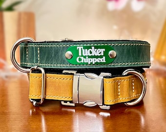 Personalized Leather Dog Collar: Engraved Nameplate, Thin Design